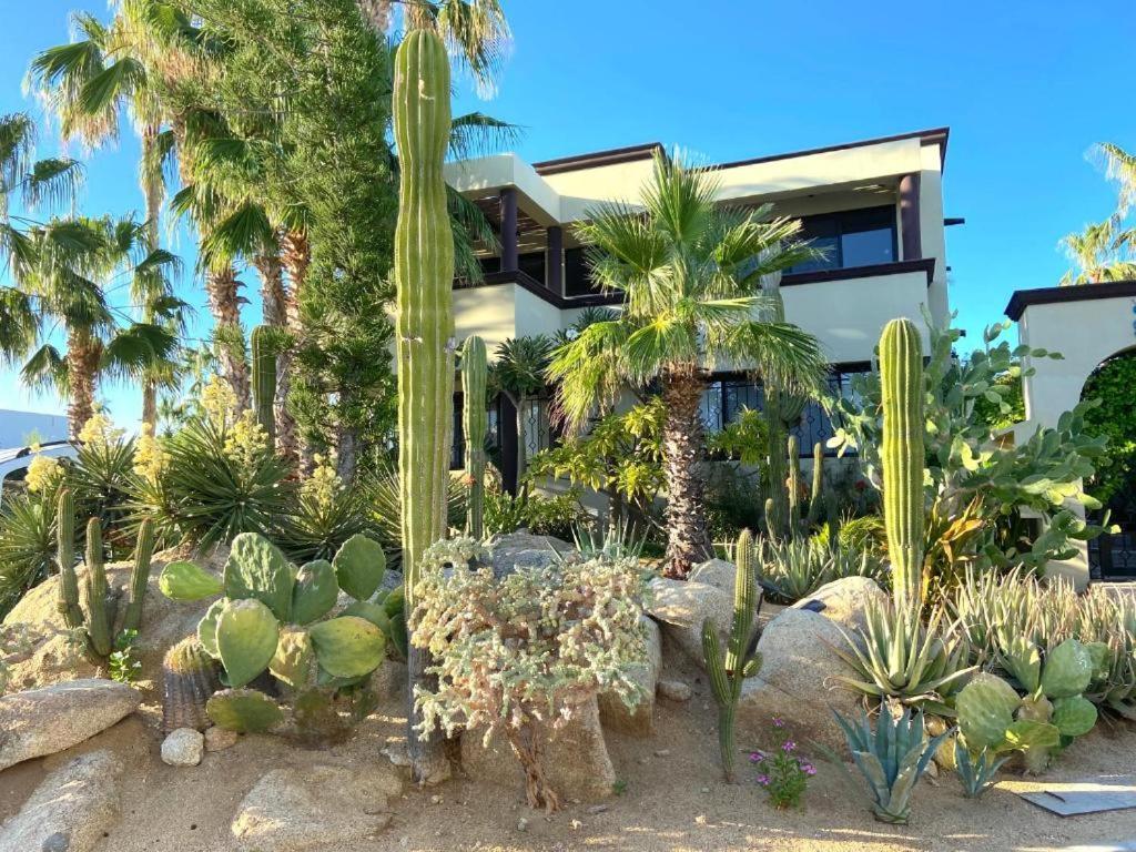 Spectacular Vacation Home Ocean View Walk To Beach Cabo San Lucas Extérieur photo